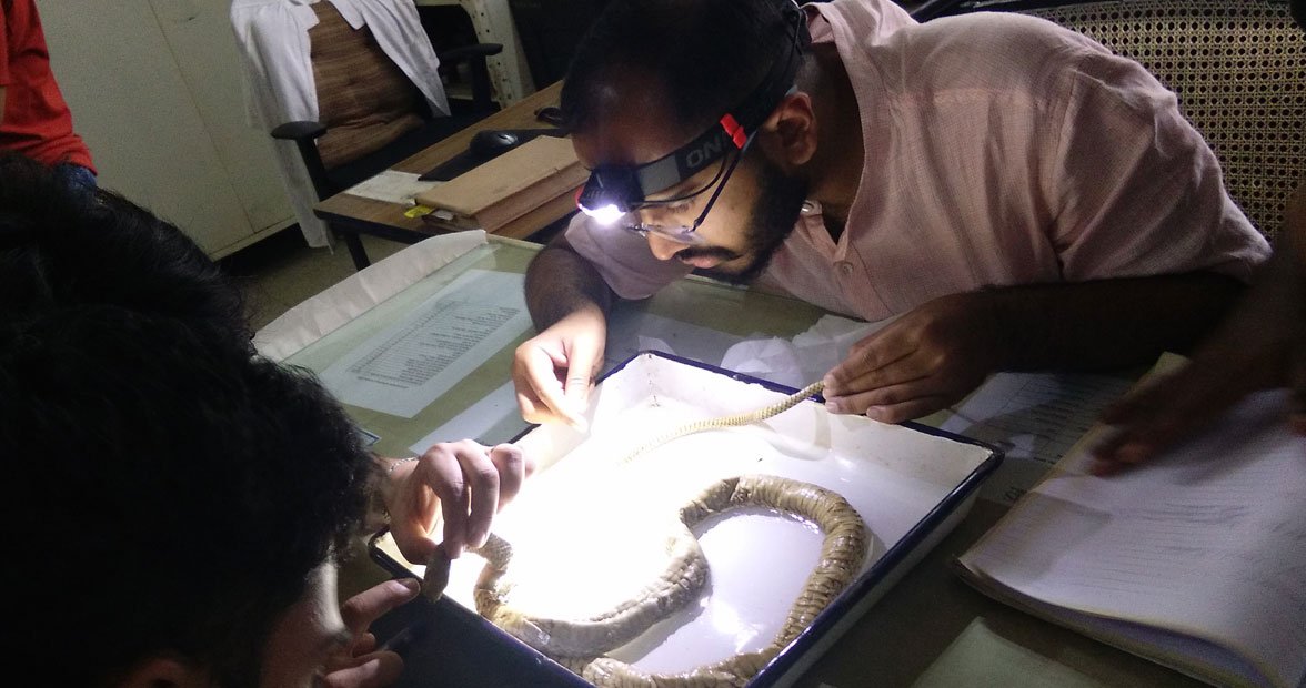 ieer-research-over-img